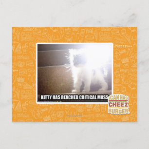 Critical Mass Kitty Postcard