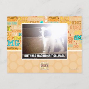 Critical Mass Kitty Postcard