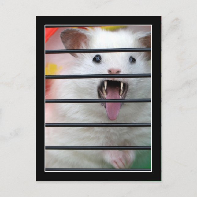 Critter is a  Mean Hamster Postcard (Front)