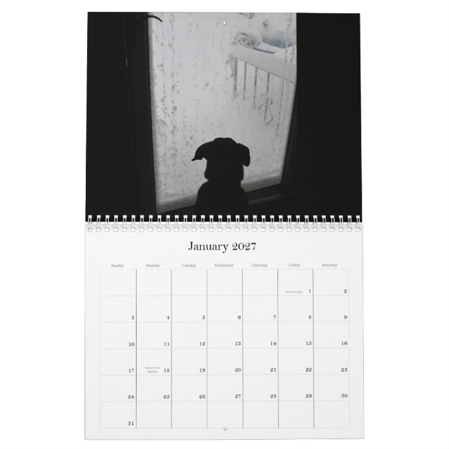 Critters 2012 ~ calendar (Jan 2027)
