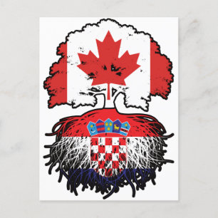 Croatia Croatian Canadian Canada Tree Roots Flag Postcard