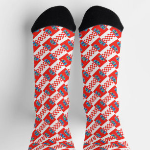 Croatia flag pattern socks