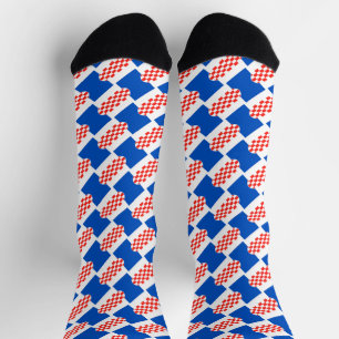 Croatia flag pattern socks