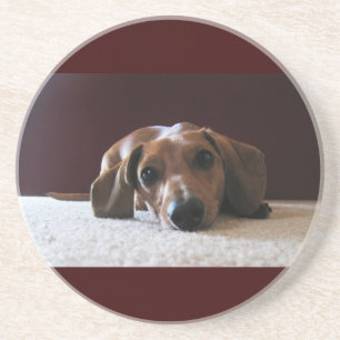 crockettsperfectpic coaster