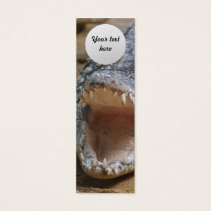 Crocodile