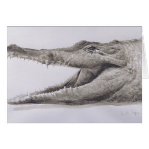 Crocodile 2005