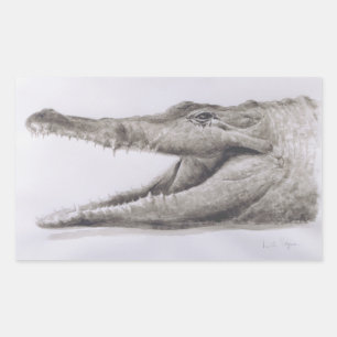 Crocodile 2005 sticker