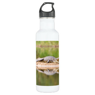 Crocodile 710 Ml Water Bottle
