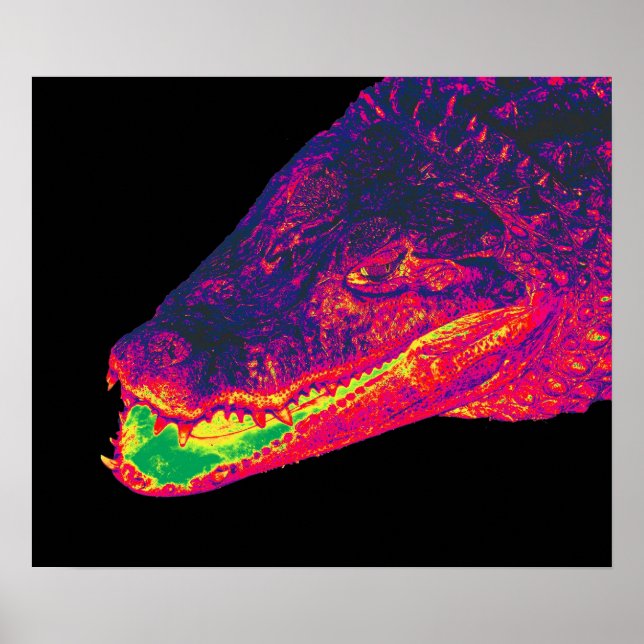Crocodile / Alligator Head, Artistic Poster (Front)