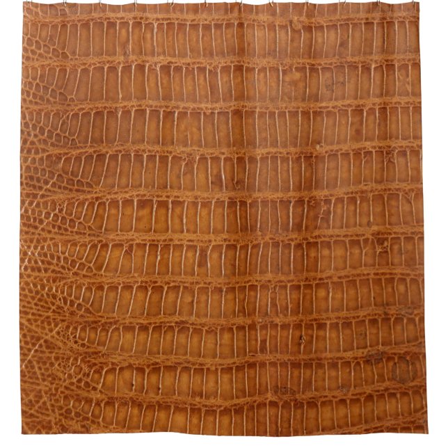 Crocodile alligator reptile leather texture close  (Front)