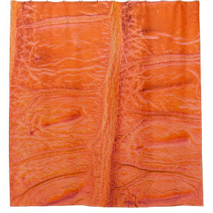 Crocodile belly skin texture background. This imag