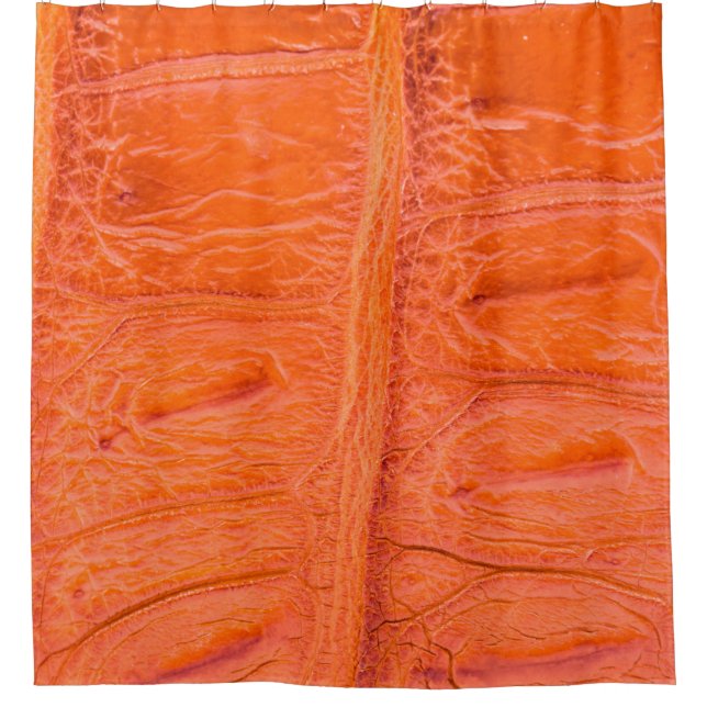 Crocodile belly skin texture background. This imag (Front)