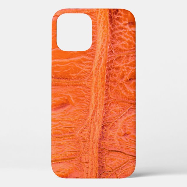 Crocodile belly skin texture background. This imag Case-Mate iPhone Case (Back)