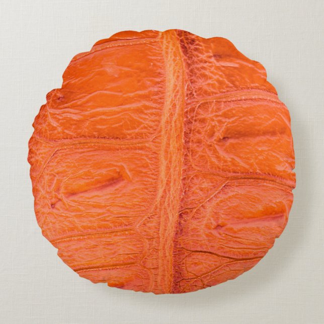 Crocodile belly skin texture background. This imag Round Pillow (Front)