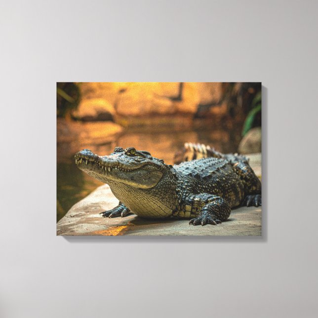 Crocodile Canvas Print (Front)