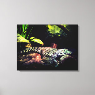 Crocodile Canvas Print