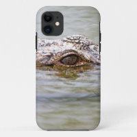 Crocodile