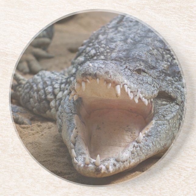 Crocodile Coaster (Front)