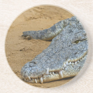 Crocodile Coaster