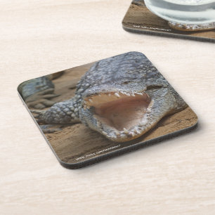 Crocodile Coaster