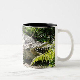 Crocodile Coffee Mug