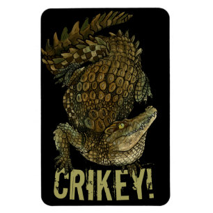 Crocodile Crikey! Magnet