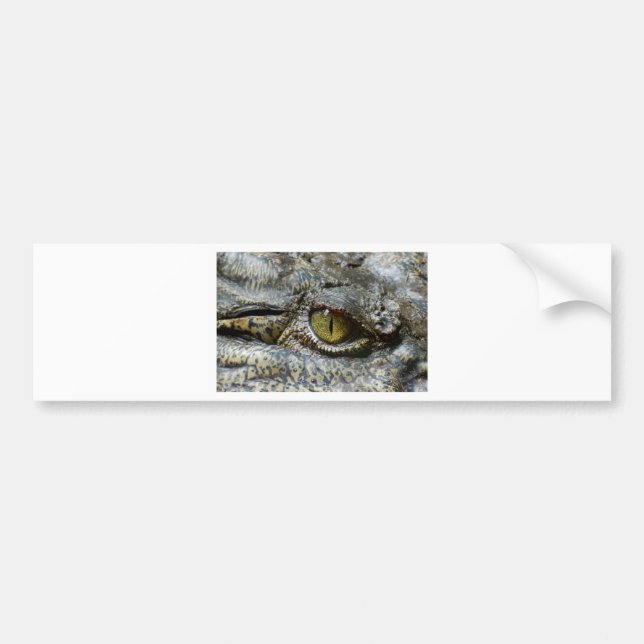 crocodile eye face animal custom personalize diy bumper sticker (Front)