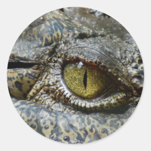 crocodile eye face animal custom personalize diy classic round sticker
