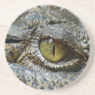 crocodile eye face animal custom personalize diy coaster
