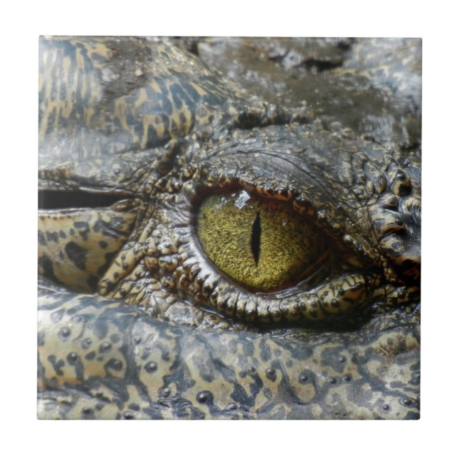 crocodile eye face animal custom personalize diy tile (Front)