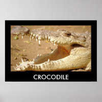 crocodile Jaws from JungleWalk.com