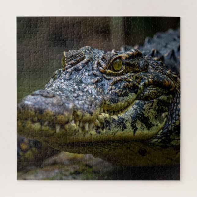 Crocodile Jigsaw Puzzle (Vertical)
