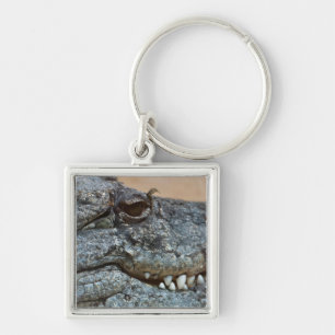 Crocodile Keychain