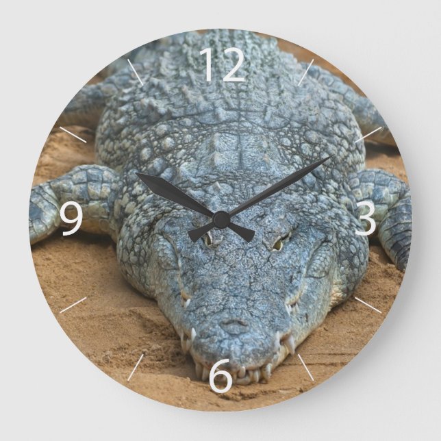 Crocodile Large Clock (Front)