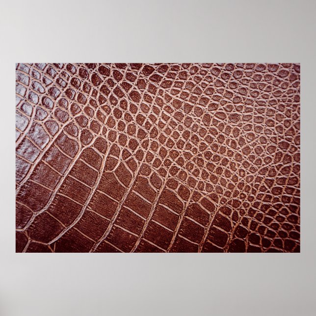 Crocodile leather pattern backgroundabstract,allig poster (Front)