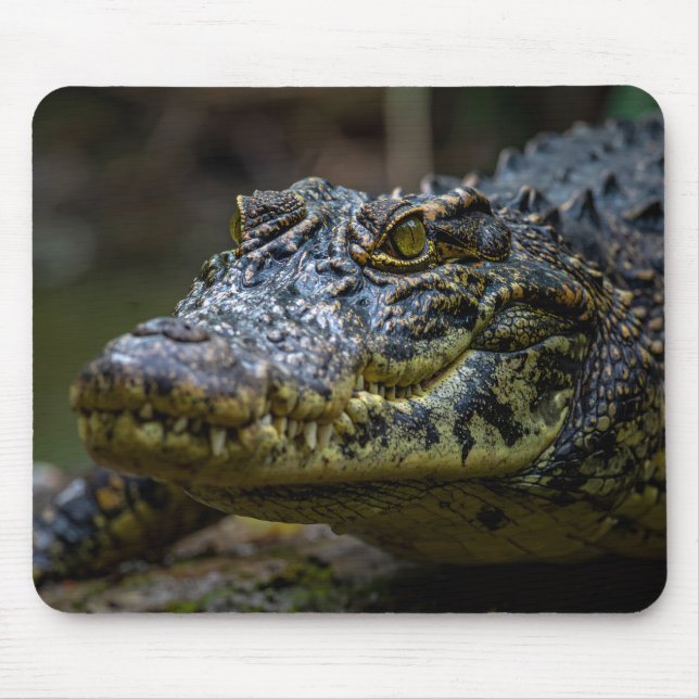 crocodile mouse pad (Front)