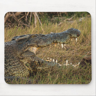 Crocodile Mouse Pad