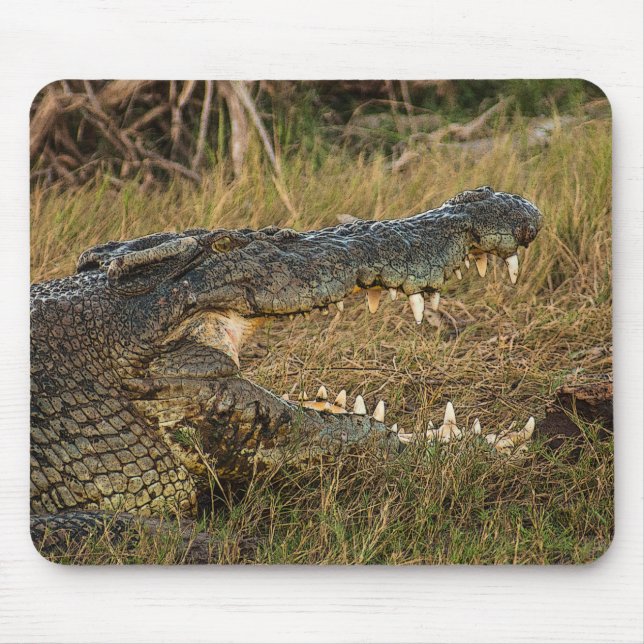 Crocodile Mouse Pad (Front)