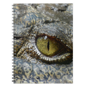 crocodile  notebook