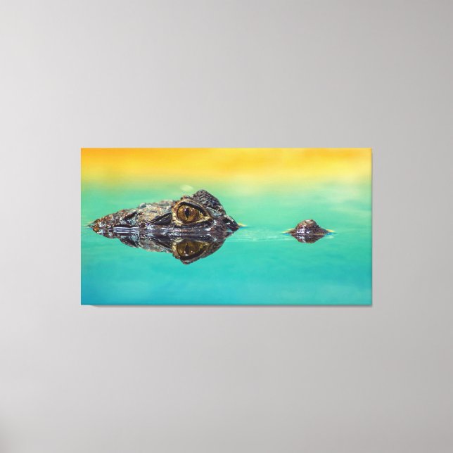 Crocodile on Still Body of Water Canvas Print (Front)