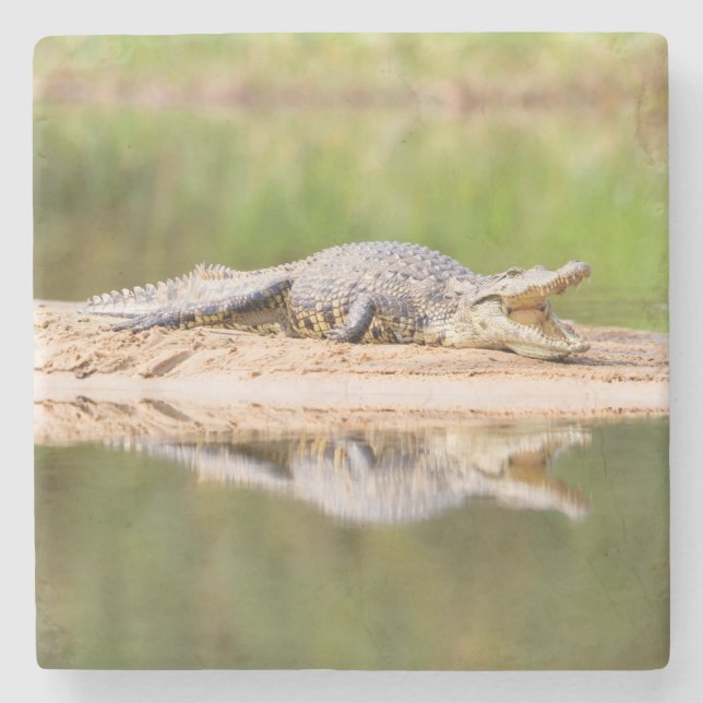 Crocodile Stone Coaster (Front)