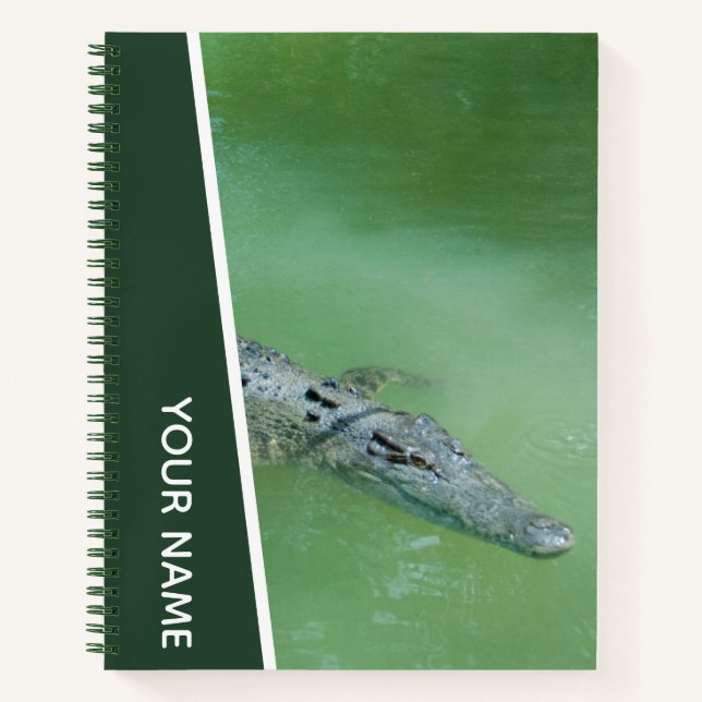 Crocodile Swimming in Australia, Green Notebook (Front)