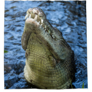 Crocodile Teeth Water