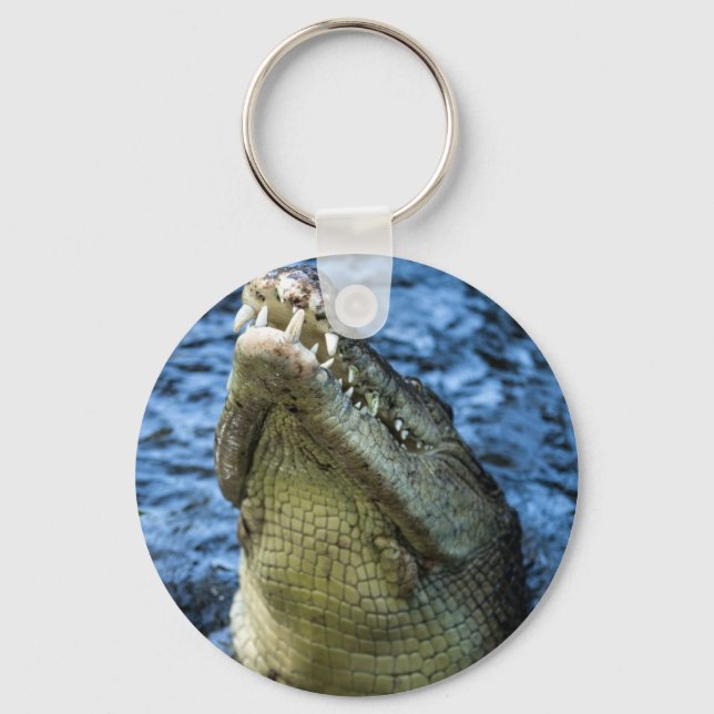 Crocodile Teeth Water Keychain (Front)