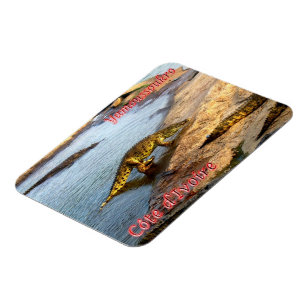 Crocodile walking - magnet