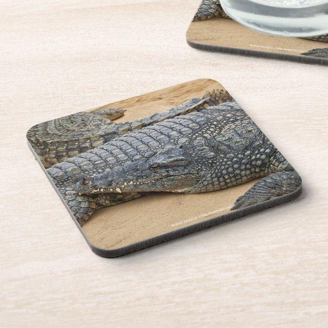 Crocodiles Coaster (Left Side)