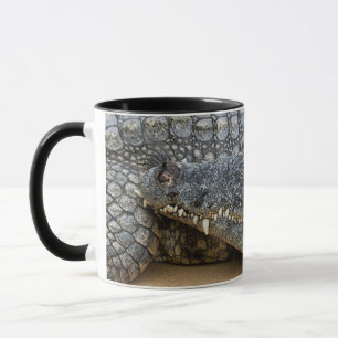 Crocodiles Mug