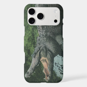 Crocodiles Reptiles, Vie Marine Animale Vintage