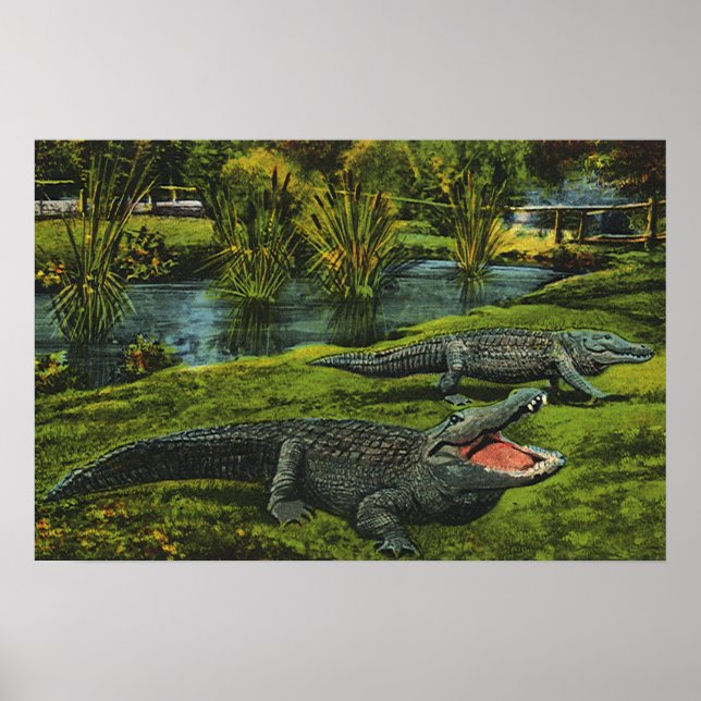 Crocodiles, Vintage Marine Life Reptiles Animals Poster (Front)