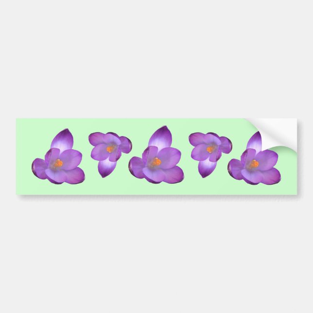 Crocus 1, Crocus 1, Crocus 1, Crocus 1, Crocus 1 Bumper Sticker (Front)